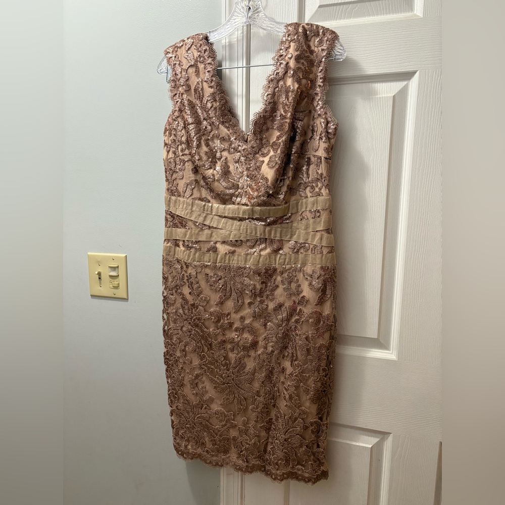 Tadashi Shoji Embroidered Lace V Neck Dress Dusty Rose Size 12 NWT 3T896MXZ